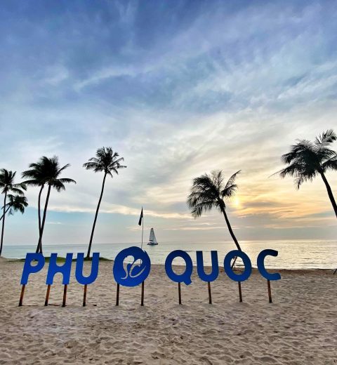Nấm tràm Phú Quốc – Đặc sản dân dã hiếm có